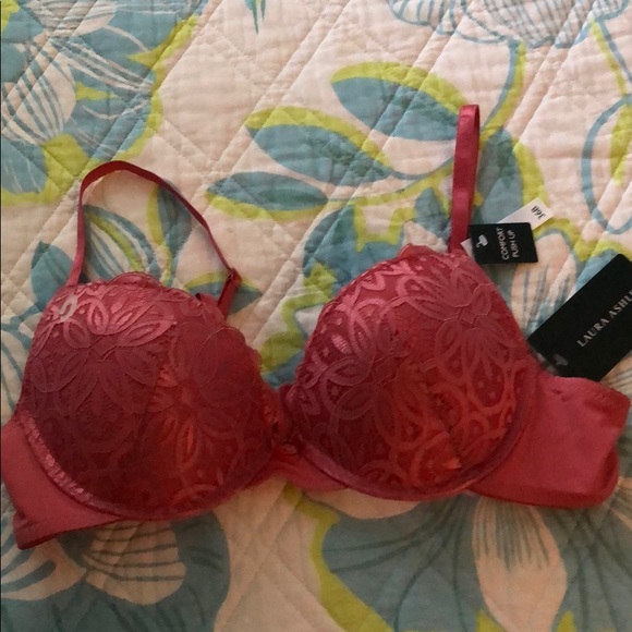 Laura Ashley Intimates & Sleepwear Laura Ashley Bra Nwt Poshmark